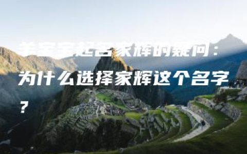 羊宝宝起名家辉的疑问：为什么选择家辉这个名字？