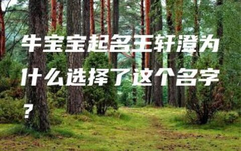 牛宝宝起名王轩澄为什么选择了这个名字？