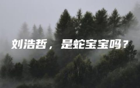 刘浩哲，是蛇宝宝吗？