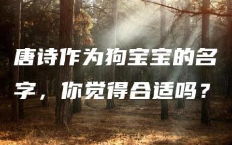 唐诗作为狗宝宝的名字，你觉得合适吗？