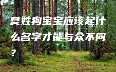 夏姓狗宝宝应该起什么名字才能与众不同？