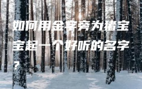 如何用金字旁为猪宝宝起一个好听的名字？