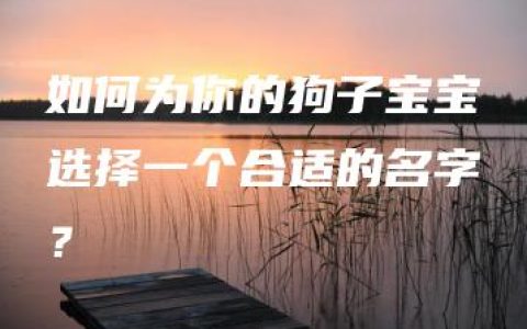 如何为你的狗子宝宝选择一个合适的名字？