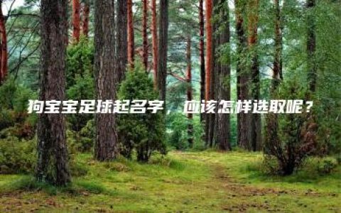 狗宝宝足球起名字，应该怎样选取呢？