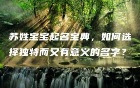 苏姓宝宝起名宝典，如何选择独特而又有意义的名字？