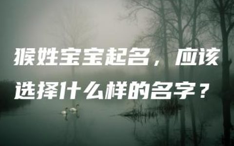 猴姓宝宝起名，应该选择什么样的名字？