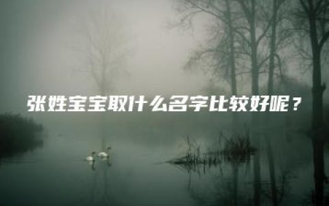 张姓宝宝取什么名字比较好呢？