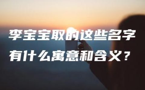 李宝宝取的这些名字有什么寓意和含义？