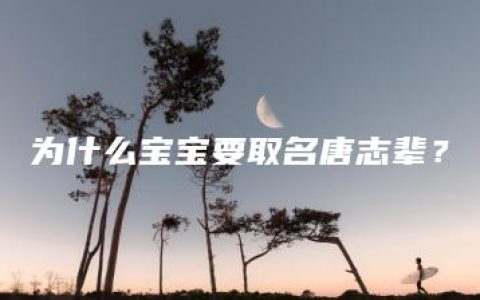 为什么宝宝要取名唐志辈？