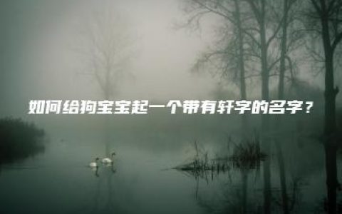 如何给狗宝宝起一个带有轩字的名字？