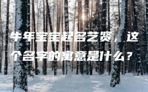 牛年宝宝起名艺贤，这个名字的寓意是什么？