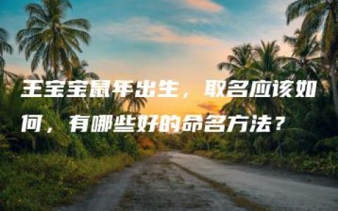 王宝宝鼠年出生，取名应该如何，有哪些好的命名方法？