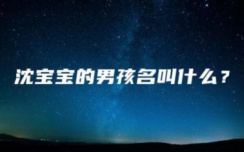 沈宝宝的男孩名叫什么？