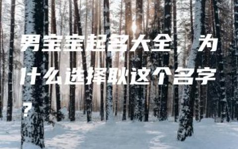 男宝宝起名大全，为什么选择耿这个名字？