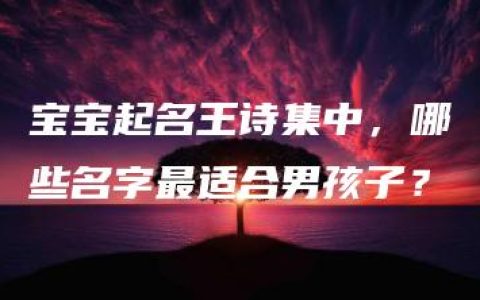 宝宝起名王诗集中，哪些名字最适合男孩子？