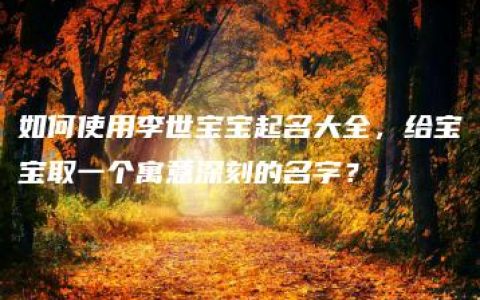 如何使用李世宝宝起名大全，给宝宝取一个寓意深刻的名字？