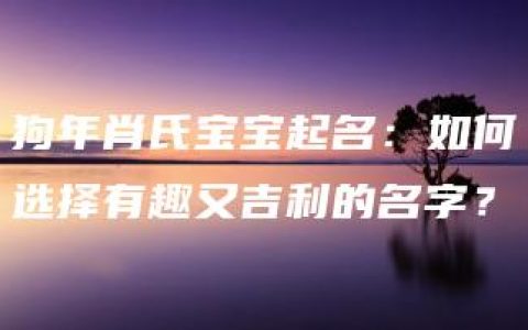 狗年肖氏宝宝起名：如何选择有趣又吉利的名字？