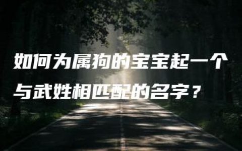 如何为属狗的宝宝起一个与武姓相匹配的名字？