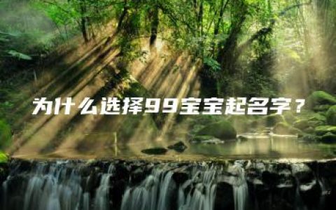 为什么选择99宝宝起名字？