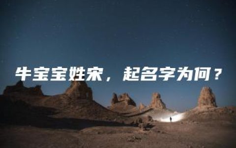 牛宝宝姓宋，起名字为何？