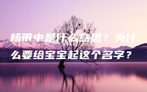 杨带中是什么意思？为什么要给宝宝起这个名字？