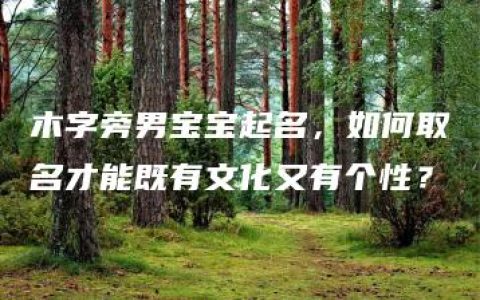 木字旁男宝宝起名，如何取名才能既有文化又有个性？