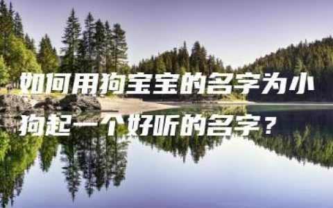 如何用狗宝宝的名字为小狗起一个好听的名字？