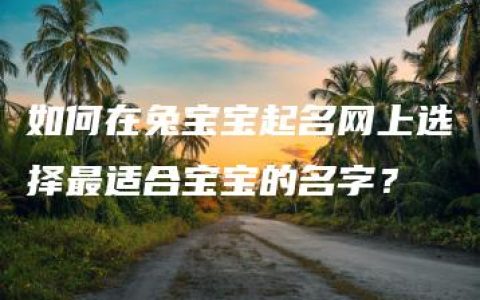 如何在兔宝宝起名网上选择最适合宝宝的名字？