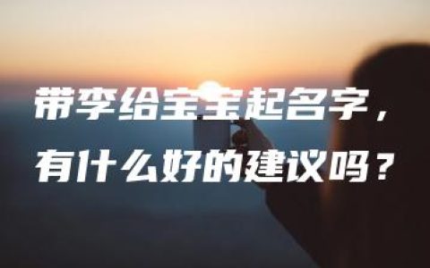 带李给宝宝起名字，有什么好的建议吗？