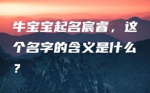 牛宝宝起名宸睿，这个名字的含义是什么？