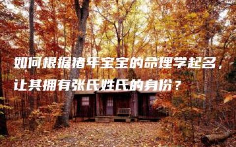 如何根据猪年宝宝的命理学起名，让其拥有张氏姓氏的身份？