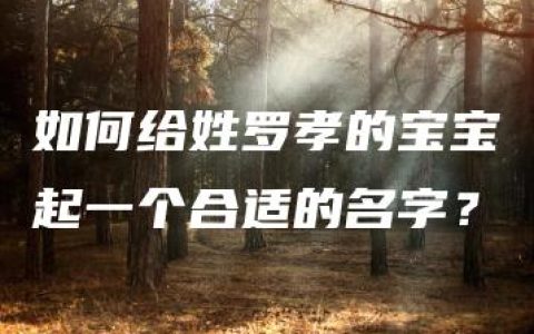 如何给姓罗孝的宝宝起一个合适的名字？