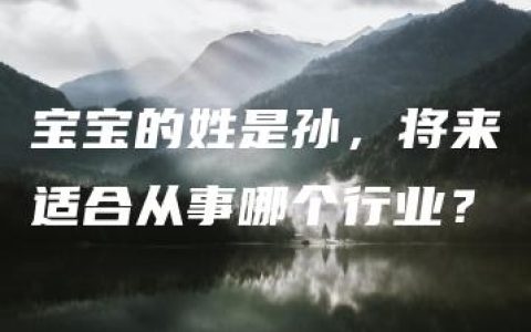 宝宝的姓是孙，将来适合从事哪个行业？