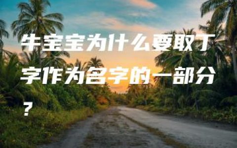 牛宝宝为什么要取丁字作为名字的一部分？