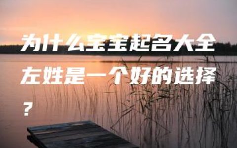 为什么宝宝起名大全左姓是一个好的选择？