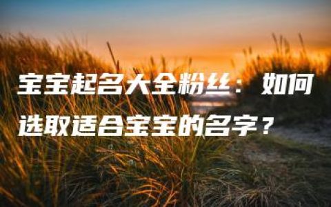 宝宝起名大全粉丝：如何选取适合宝宝的名字？