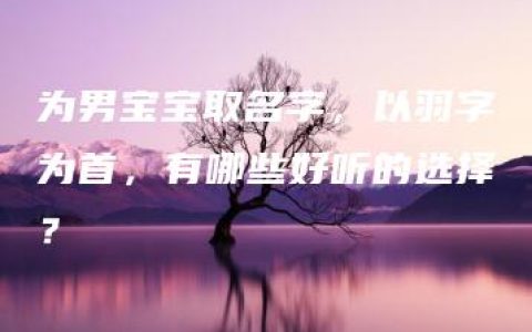 为男宝宝取名字，以羽字为首，有哪些好听的选择？