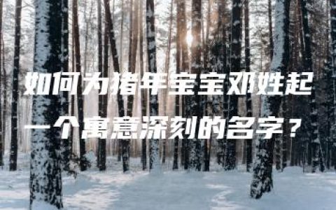 如何为猪年宝宝邓姓起一个寓意深刻的名字？