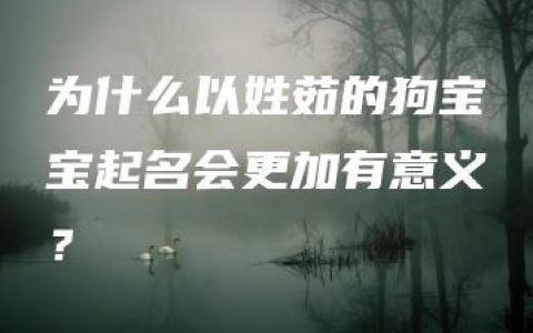 为什么以姓茹的狗宝宝起名会更加有意义？