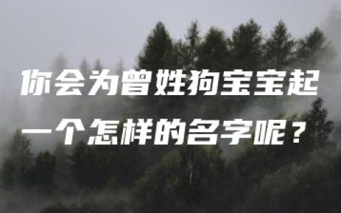 你会为曾姓狗宝宝起一个怎样的名字呢？