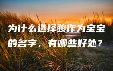 为什么选择骏作为宝宝的名字，有哪些好处？