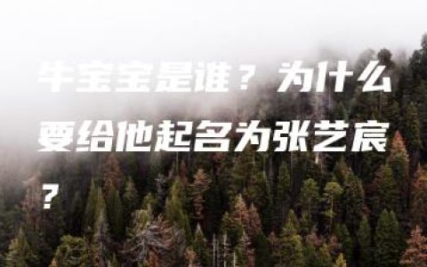 牛宝宝是谁？为什么要给他起名为张艺宸？