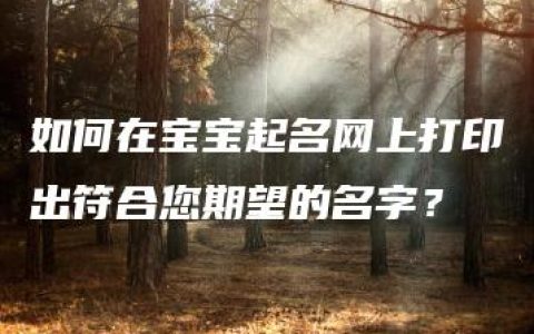 如何在宝宝起名网上打印出符合您期望的名字？