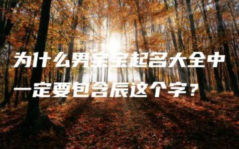 为什么男宝宝起名大全中一定要包含辰这个字？