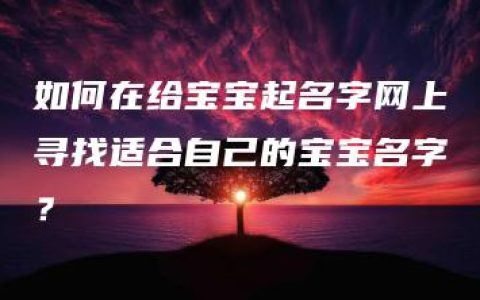 如何在给宝宝起名字网上寻找适合自己的宝宝名字？