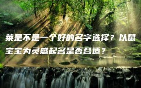 莱是不是一个好的名字选择？以鼠宝宝为灵感起名是否合适？