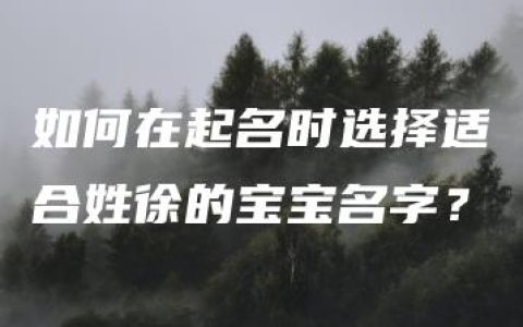 如何在起名时选择适合姓徐的宝宝名字？