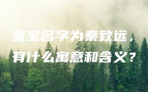 宝宝名字为秦致远，有什么寓意和含义？