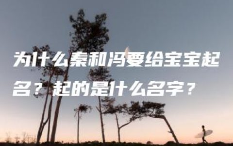 为什么秦和冯要给宝宝起名？起的是什么名字？