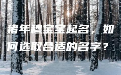 猪年穆宝宝起名，如何选取合适的名字？